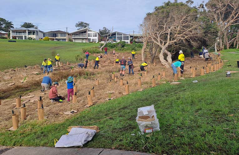 Historic ‘Tank Stream’ brought back to life through Landcare and Council partnership
