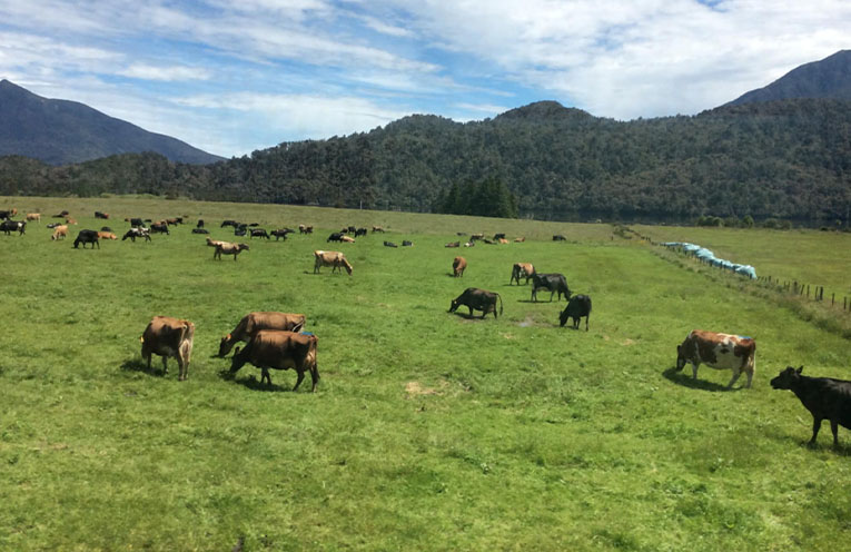Bright spots in agriculture amid market volatility