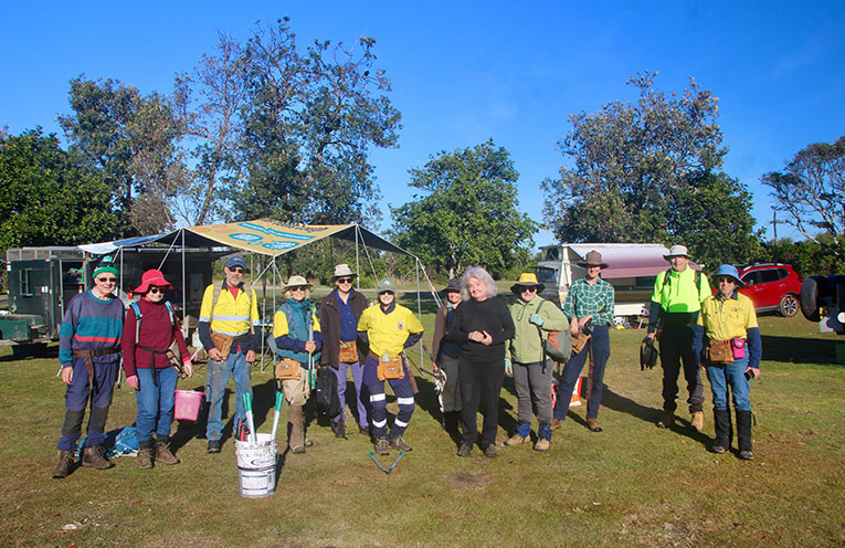Landcarers restore key habitats in Crowdy Bay National Park