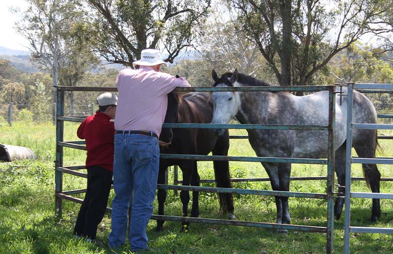 Support available for farmers after floods