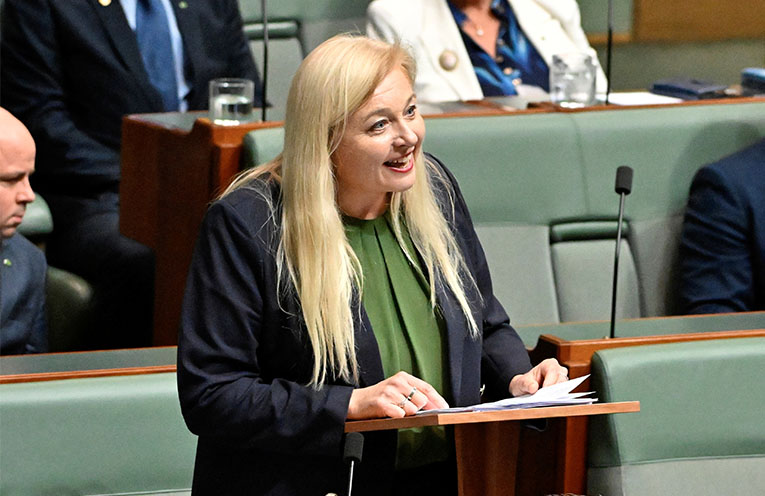 ‘The physical scars are there for all to see’: floods the focus of Penfold’s first speech