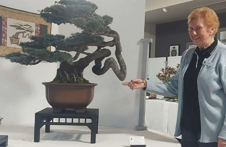 Bonsai artistry on show at Laurieton