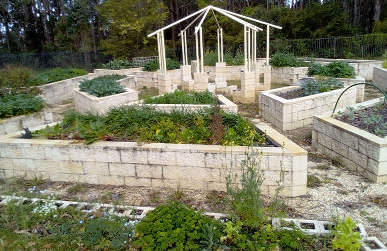 Wauchope Community Garden to host open day and working bee
