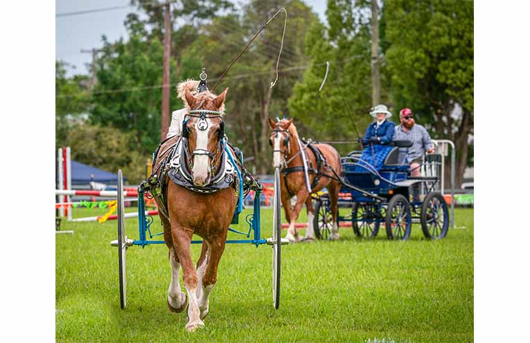 Some of the many ring events. Photos: Kim Ambrose/SaltyFoxFotography.