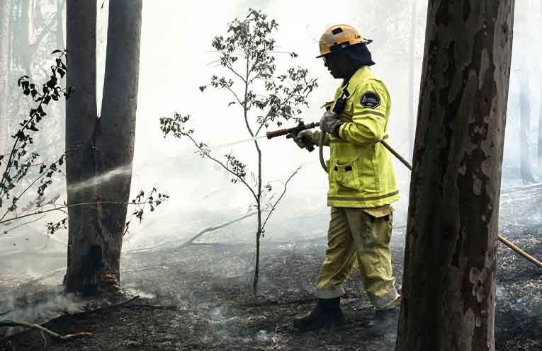 Old fire practices rekindled as Aboriginal communities collaborate with Forestry Corporation