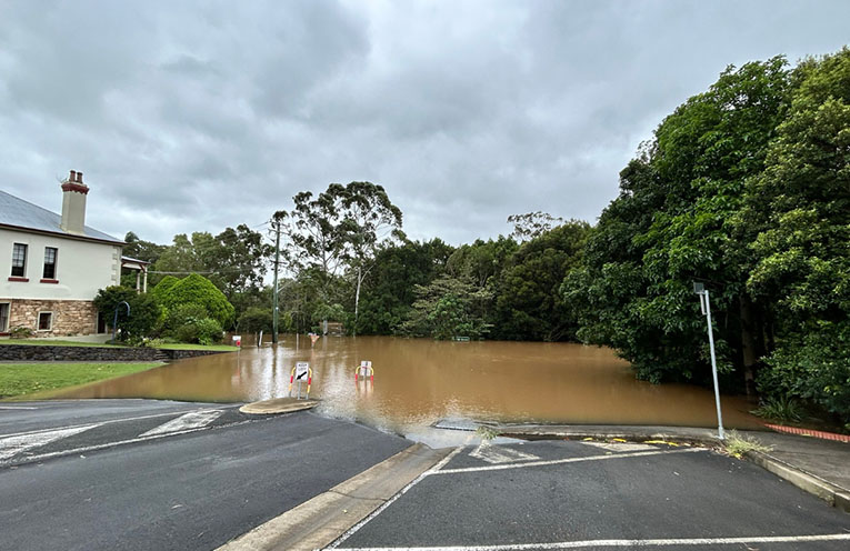 Deforestation can cause eight-fold increase in flood event risk, says report