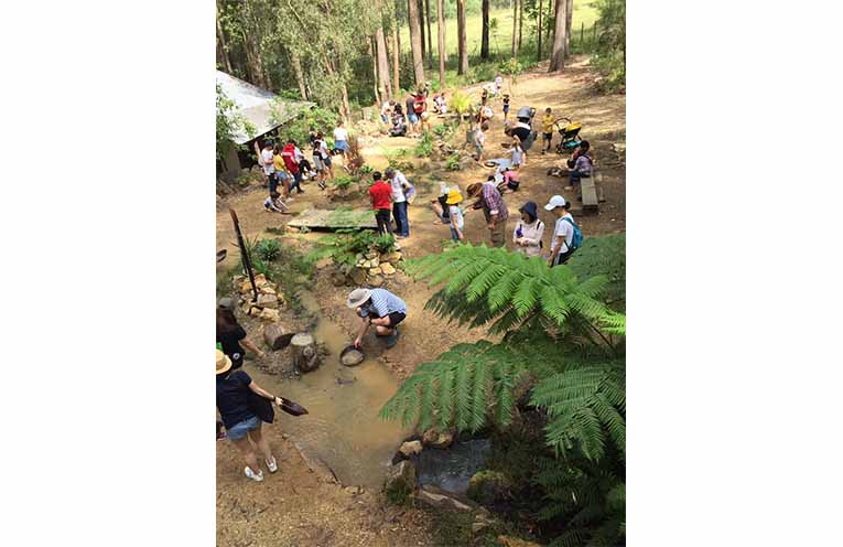 A collection of past photos of visitors to Timbertown. Photo: Facebook