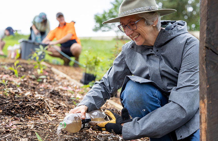 Tiny forests breathe life and hope into urban Australia