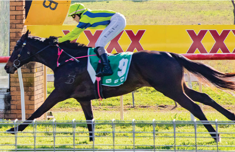 Independent review of thoroughbred racing in NSW
