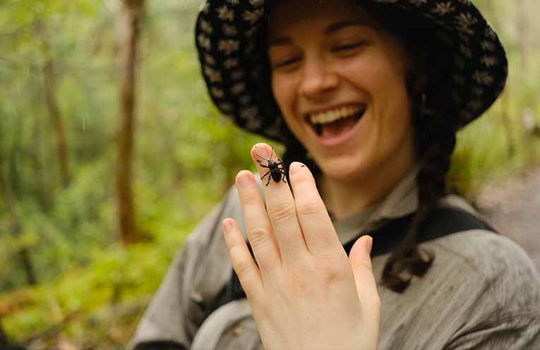 New initiative urges Australians to uncover and photograph backyard bugs