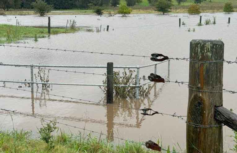BlazeAid calls for volunteers to help rebuild fences destroyed in Mid North Coast floods