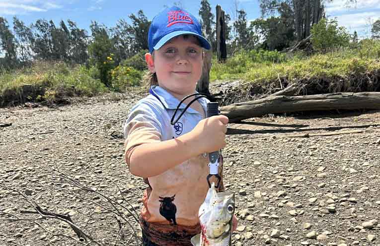 Kingfish, bass and the thrill of the giant herring