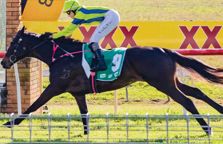 Independent review of thoroughbred racing in NSW