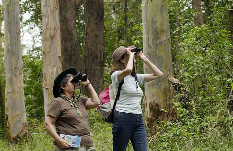 Free dog-friendly camping from coast to high country