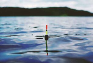 Festive fishing: The region delivers the goods