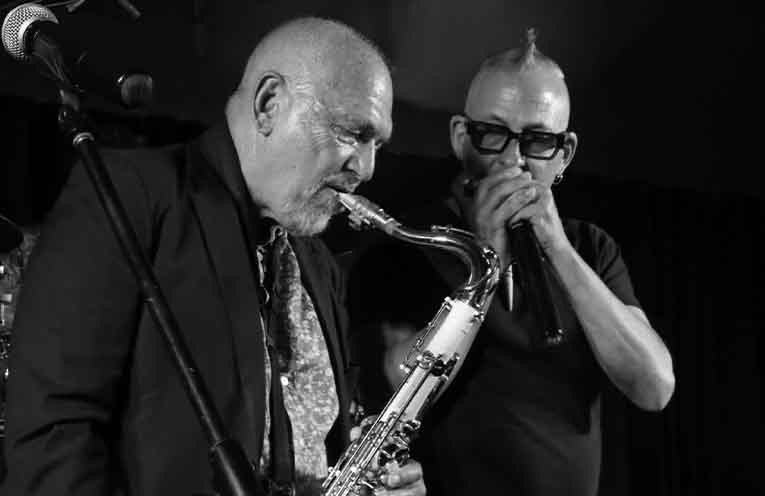 Laurieton music fan celebrates 50 years of live gigs at Black Sorrows concert