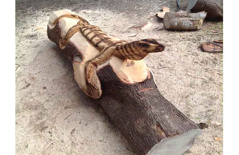 Showcasing timber work at the park.