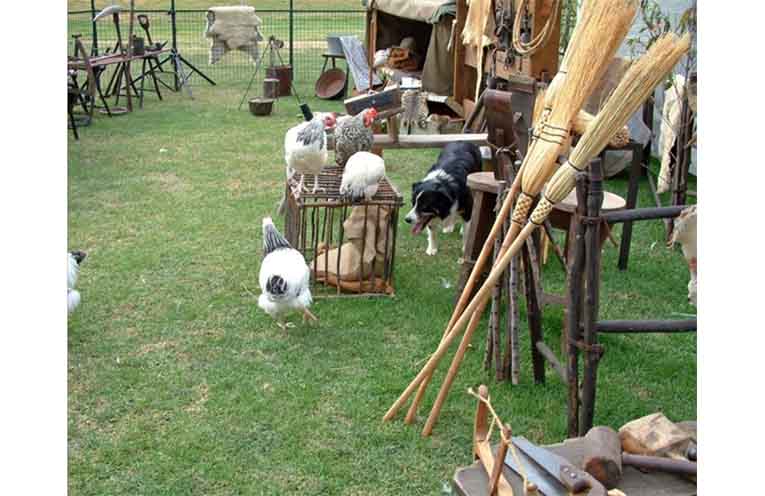 Friendly residents of the park