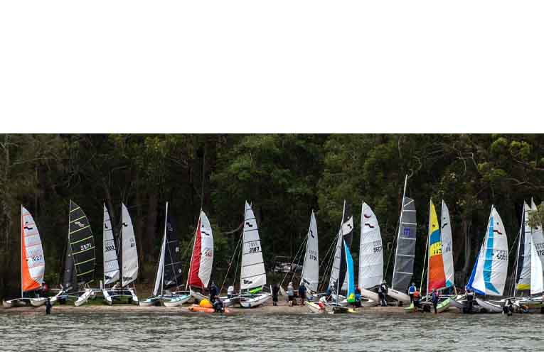 Maricats lined up at Queens Lake.