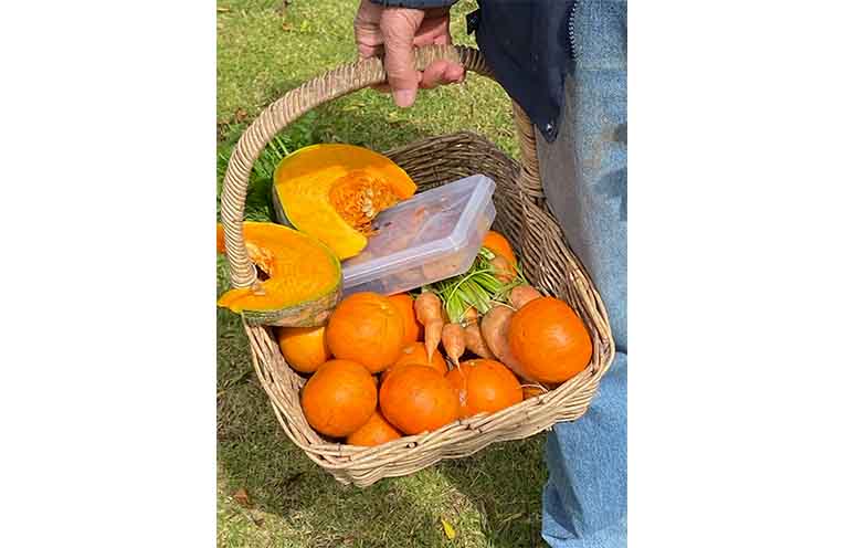 The swap is a way of dealing with the gardener’s dilemma of growing too much. Photo: Cathy Cloran.