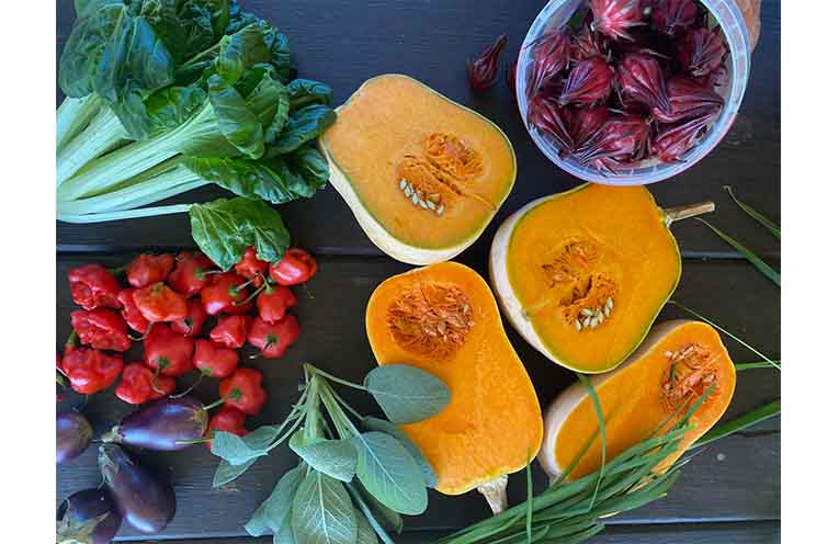 The swap is a way of dealing with the gardener’s dilemma of growing too much. Photo: Cathy Cloran.