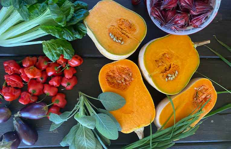 Kendall’s Sunday Swap is growing more than veggies