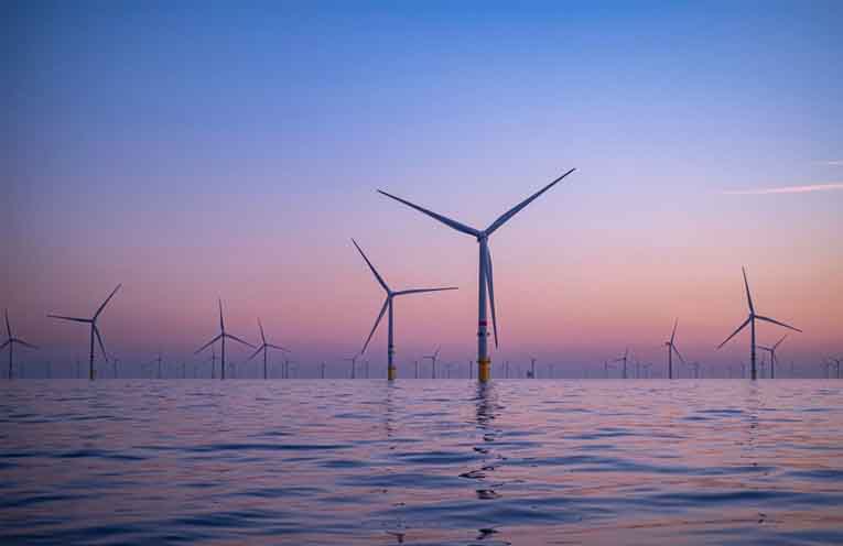 Flip side of Port Stephens’ offshore wind farm debate