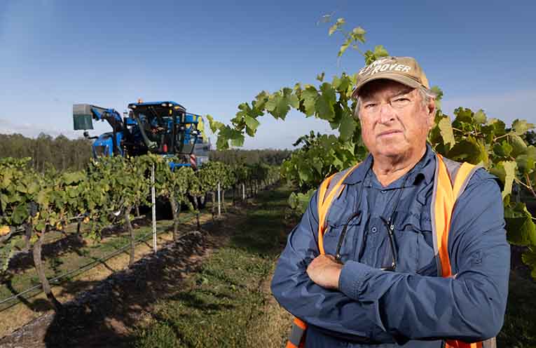 Wine and taxes: only one certainty for small producers