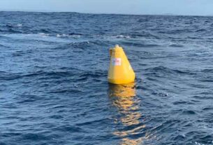 FISHING: Lizards, pelagics, and a missing FAD