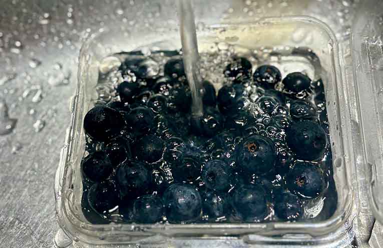 Tests confirm blueberries are safe to eat