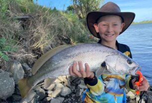 Marlin and mackerel fire up off Shelly Beach