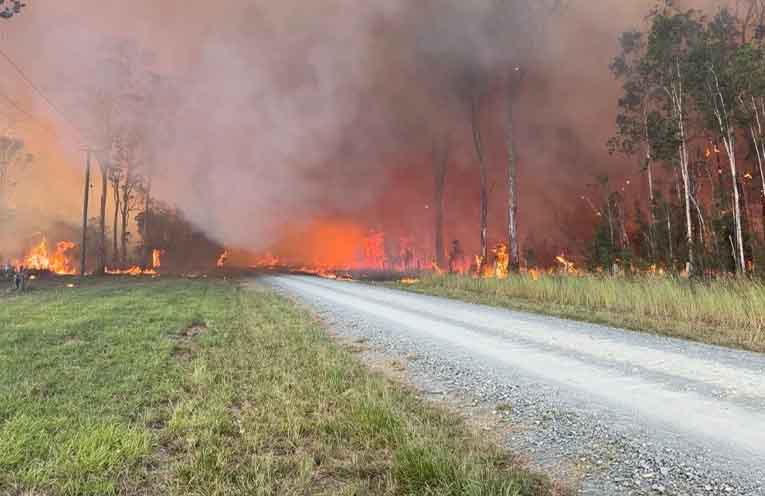 AI cameras spotted more than 1000 bushfires over summer
