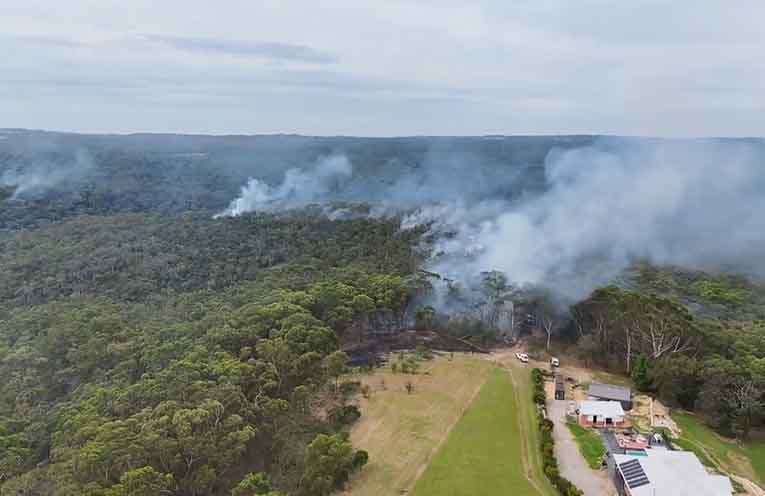 Taskforce launched to accelerate hazard reduction in NSW