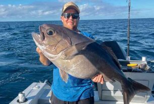 Plenty of fish about on Mid North Coast