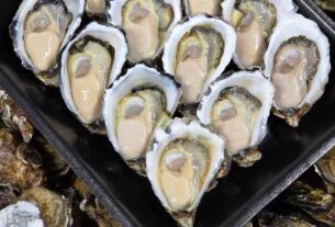 Proposal to introduce Triploid Pacific Oysters to the Camden Haven River