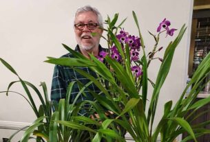 Camden Haven Orchid Society annual winter show