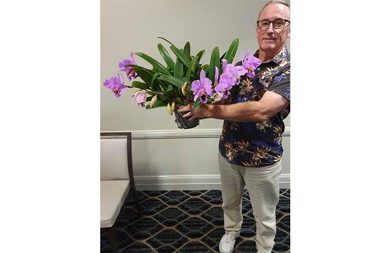 The Camden Haven Orchid Society’s winter blooms on display.