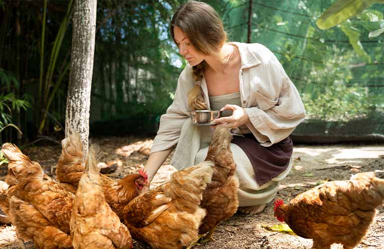 Backyard poultry farmers need to act now