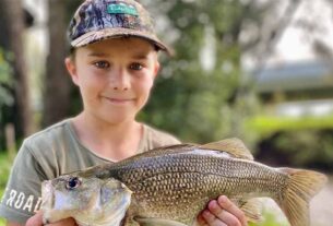 Australian Bass and Estuary Perch season opens soon