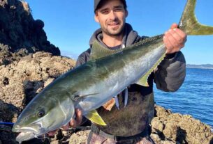FISHING: Proposed snapper and kingfish management strategies raise some questions