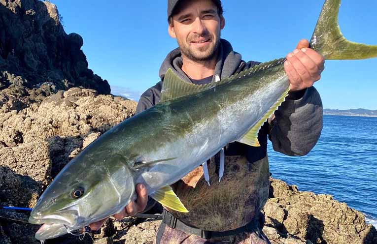 FISHING: Proposed snapper and kingfish management strategies raise some questions