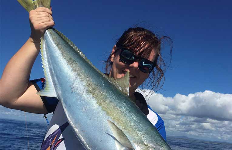 Proposed snapper and kingfish management strategies