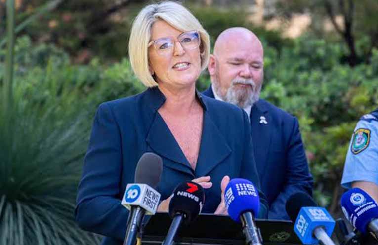 Government ramps up measures to bring more DV offenders before the courts