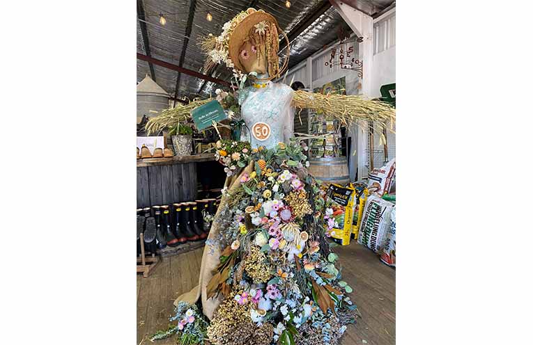 ‘Belle in Bloom’ inside Comboyne Farm Store.